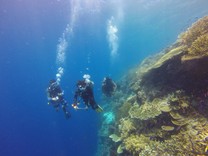 scuba-diving-1300853_1280.jpg
